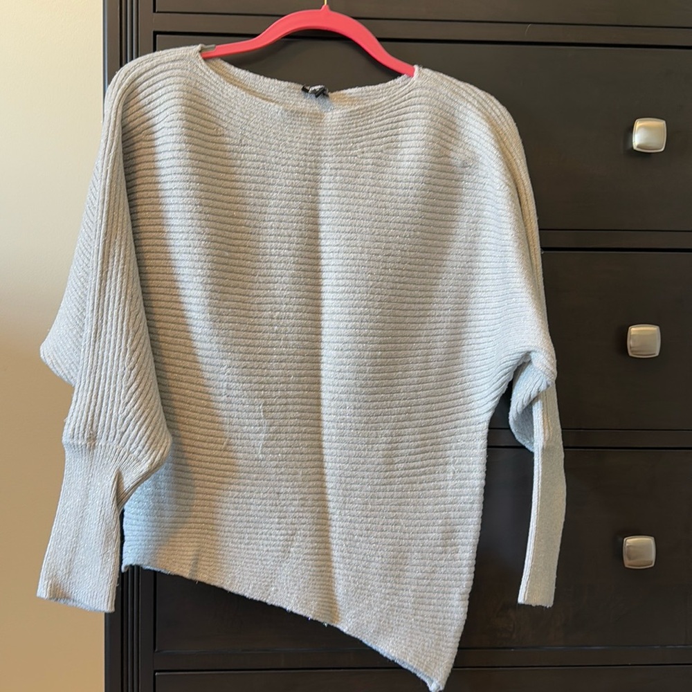 Express Silver/Sparkle Sweater